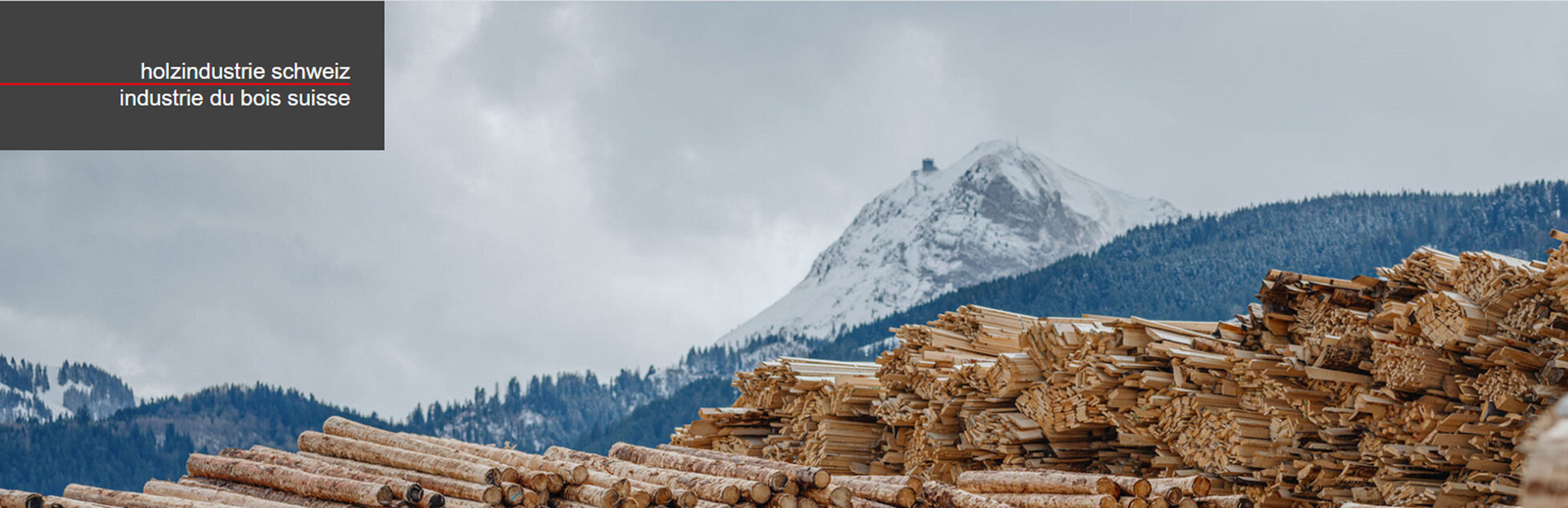  Holzindustrie Schweiz / Industrie du bois Suisse 
